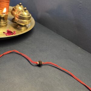Rakhi A0108