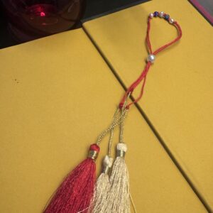 Rakhi A0198